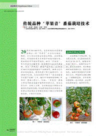 傳統(tǒng)品種_蘋果青_番茄栽培技術(shù)