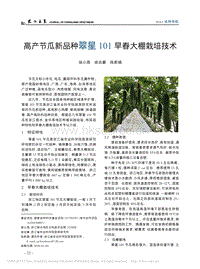 高產(chǎn)節(jié)瓜新品種翠星101早春大棚栽培技術燕
