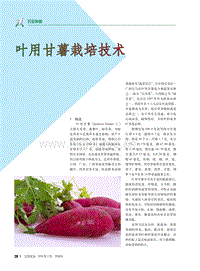 葉用甘薯栽培技術(shù)