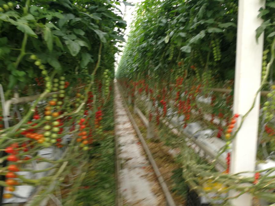 IMG_20180512_140343.jpg