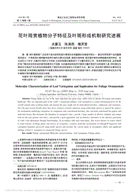 花葉觀賞植物分子特征及葉斑形成機制研究進(jìn)展