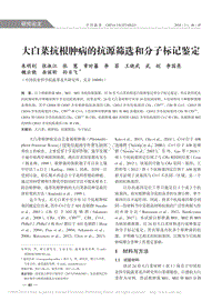 大白菜抗根腫病的抗源篩選和分子標(biāo)記鑒定_朱明釗