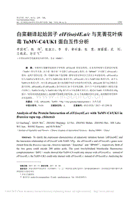 白菜翻譯起始因子eIF（iso）4E.a/c與蕪菁花葉病毒TuMV-C4/UK1蛋白互作分析