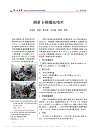 胡蘿卜繩播新技術(shù)_宋寶香.pdf