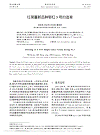 紅菜薹新品種鄂紅5號的選育_聶啟軍.pdf