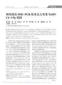 利用改良SOE_PCR技術(shù)定點(diǎn)突變TuMVC4_VPg基因_李國(guó)亮.pdf