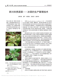 新興珍貴蔬菜冰菜的生產(chǎn)管理技術(shù)