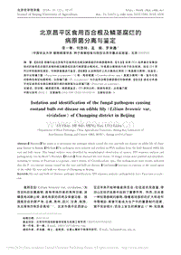 北京昌平區(qū)食用百合根及鱗莖腐爛的病原菌分離與鑒定_李一寒.pdf