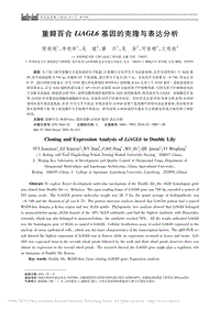 重瓣百合LiAGL6基因的克隆與表達分析_隋娟娟.pdf