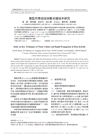 微型月季組培快繁關(guān)鍵技術(shù)研究_梁崢.pdf