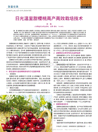 日光溫室甜櫻桃高產高效栽培技術_何莉.pdf