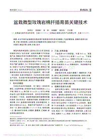 盆栽微型玫瑰巖棉扦插育苗關鍵技術_張軍云.pdf