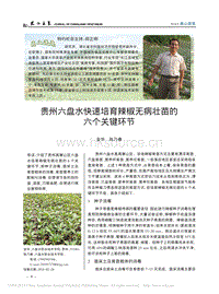 貴州六盤水快速培育辣椒無病壯苗的六個關(guān)鍵環(huán)節(jié)_金華.pdf