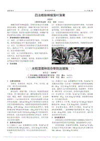 四法根除辣椒落葉落果_劉亞軒.pdf