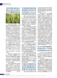 單衛(wèi)星教授團(tuán)隊(duì)解析辣椒疫霉菌通過(guò)其致病關(guān)鍵的效應(yīng)蛋白PcAvr3a12抑制植物免疫的新機(jī)制_鄭慶偉.pdf