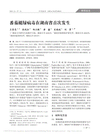 番茄褪綠病毒在湖南省首次發(fā)生_王雪忠.pdf