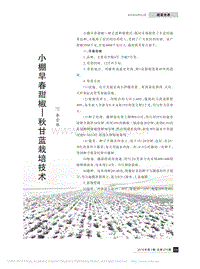 小棚早春甜椒、秋甘藍栽培技術(shù)_李雪雁.pdf