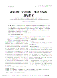 北京地區(qū)溫室葡萄一年兩季結(jié)果栽培技術(shù)_張國(guó)軍.pdf
