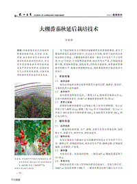 大棚番茄秋延后栽培技術(shù).pdf