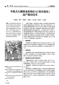 冬暖式大棚番茄套種豇豆(輪作甜瓜)高產(chǎn)栽培技術.pdf