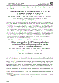 葡萄SBP-box轉(zhuǎn)錄因子家族的生物信息學(xué)分析及其應(yīng)答激素調(diào)控葡萄果實(shí)成熟的作用.pdf