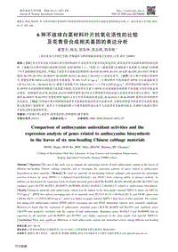 6種不結(jié)球白菜材料葉片抗氧化活性的比較及花青苷合成相關(guān)基因的表達(dá)分析.pdf