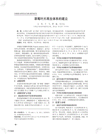 草莓葉片再生體系的建立.pdf