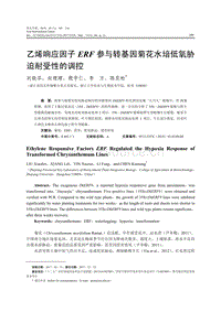 乙烯響應(yīng)因子ERF參與轉(zhuǎn)基因菊花水培低氧脅迫耐受性的調(diào)控.pdf