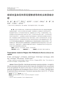 結(jié)球甘藍(lán)自花和異花授粉誘導(dǎo)的柱頭轉(zhuǎn)錄組分析.pdf