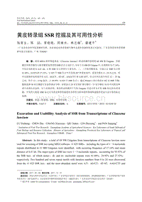 黃皮轉(zhuǎn)錄組SSR挖掘及其可用性分析.pdf