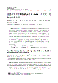 甘藍自交不親和性相關(guān)基因BoPLL的克隆、定位與表達分析.pdf