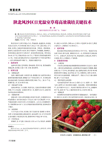 陜北風(fēng)沙區(qū)日光溫室草莓高效栽培關(guān)鍵技術(shù).pdf