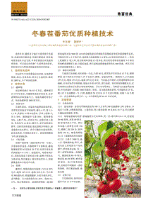 冬春茬番茄優(yōu)質(zhì)種植技術(shù).pdf