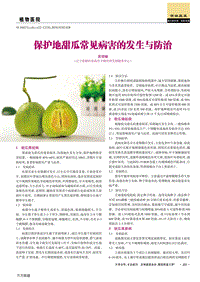 保護地甜瓜常見病害的發(fā)生與防治.pdf