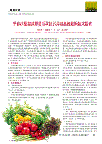 早春花椰菜越夏黃瓜秋延遲芹菜高效栽培技術(shù)探索.pdf