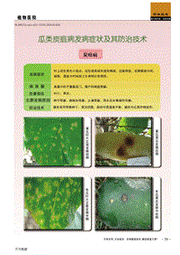 瓜類炭疽病發(fā)病癥狀及其防治技術(shù).pdf