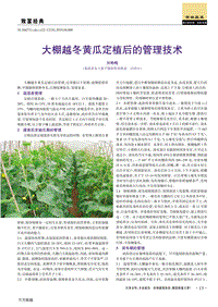 大棚越冬黃瓜定植后的管理技術(shù).pdf