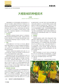 大棚彩椒的種植技術.pdf