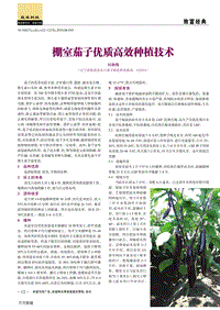 棚室茄子優(yōu)質高效種植技術.pdf