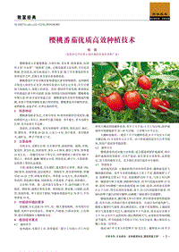 櫻桃番茄優(yōu)質(zhì)高效種植技術(shù).pdf