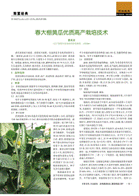 春大棚黃瓜優(yōu)質高產(chǎn)栽培技術.pdf
