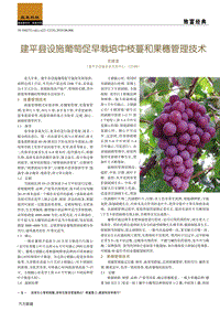 建平縣設(shè)施葡萄促早栽培中枝蔓和果穗管理技術(shù).pdf