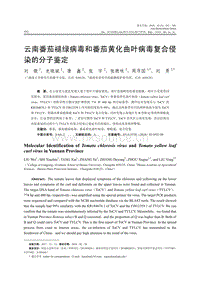 云南番茄褪綠病毒和番茄黃化曲葉病毒復(fù)合侵染的分子鑒定.pdf