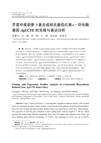 芹菜中類胡蘿卜素合成相關(guān)番茄紅素&epsilon;&ndash;環(huán)化酶基因AgLCYE的克隆與表達(dá)分析.pdf