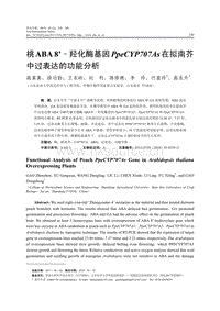 桃ABA8''-羥化酶基因PpeCYP707As在擬南芥中過表達的功能分析.pdf