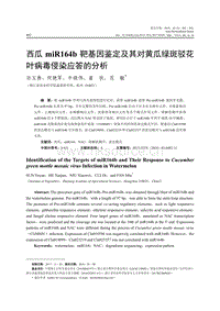 西瓜miR164b靶基因鑒定及其對(duì)黃瓜綠斑駁花葉病毒侵染應(yīng)答的分析.pdf