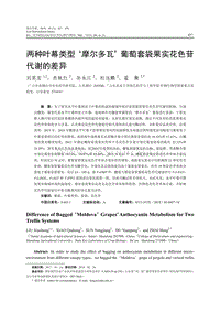 兩種葉幕類型摩爾多瓦葡萄套袋果實花色苷代謝的差異.pdf