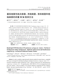 番茄細(xì)菌性斑點(diǎn)病菌、潰瘍病菌、青枯病菌和瘡痂病菌的四重PCR檢測(cè)方法.pdf