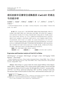 甜瓜肌醇半乳糖苷合成酶基因CmGAS1的表達(dá)與功能分析.pdf