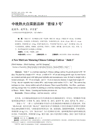 中晚熟大白菜新品種晉綠3號.pdf